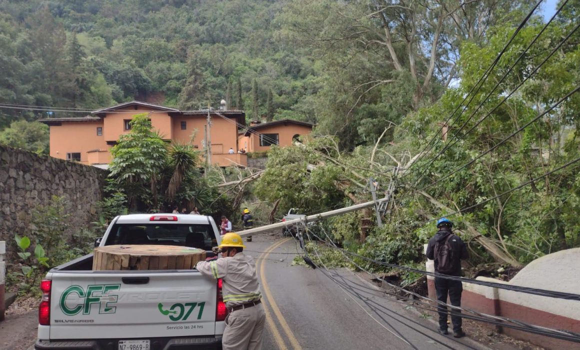 Árbol cae sobre carretera en Valle de Bravo y causa cierre vial y cortes de luz