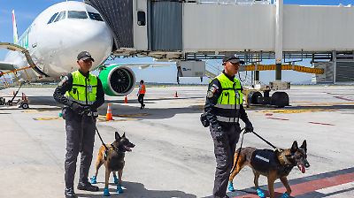 AIFA responde a video viral de perros de la Guardia Nacional afectados por el calor en el aeropuerto