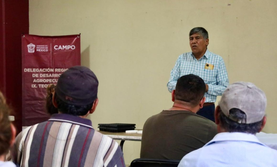 Acolman impulsa huertos urbanos para mejorar la alimentación y el medio ambiente