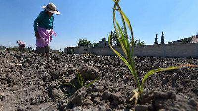 Actividad económica en México crece 0.5% en abril, impulsada por comercio y servicios