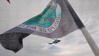 Activistas denuncian intimidación con helicópteros extranjeros durante protesta contra SpaceX en el Golfo de México