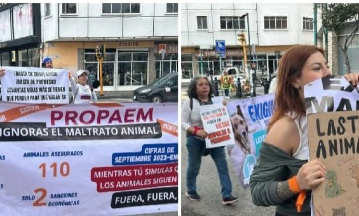 Activistas exigen la desaparición de PROPAEM por su ineficacia ante casos de maltrato animal en Edomex