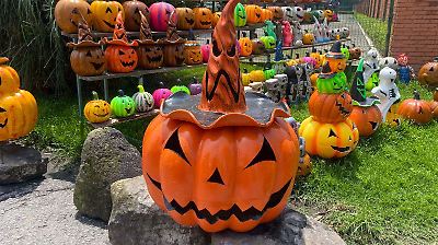 Adelantan ventas de calabazas y adornos para Día de Muertos en septiembre