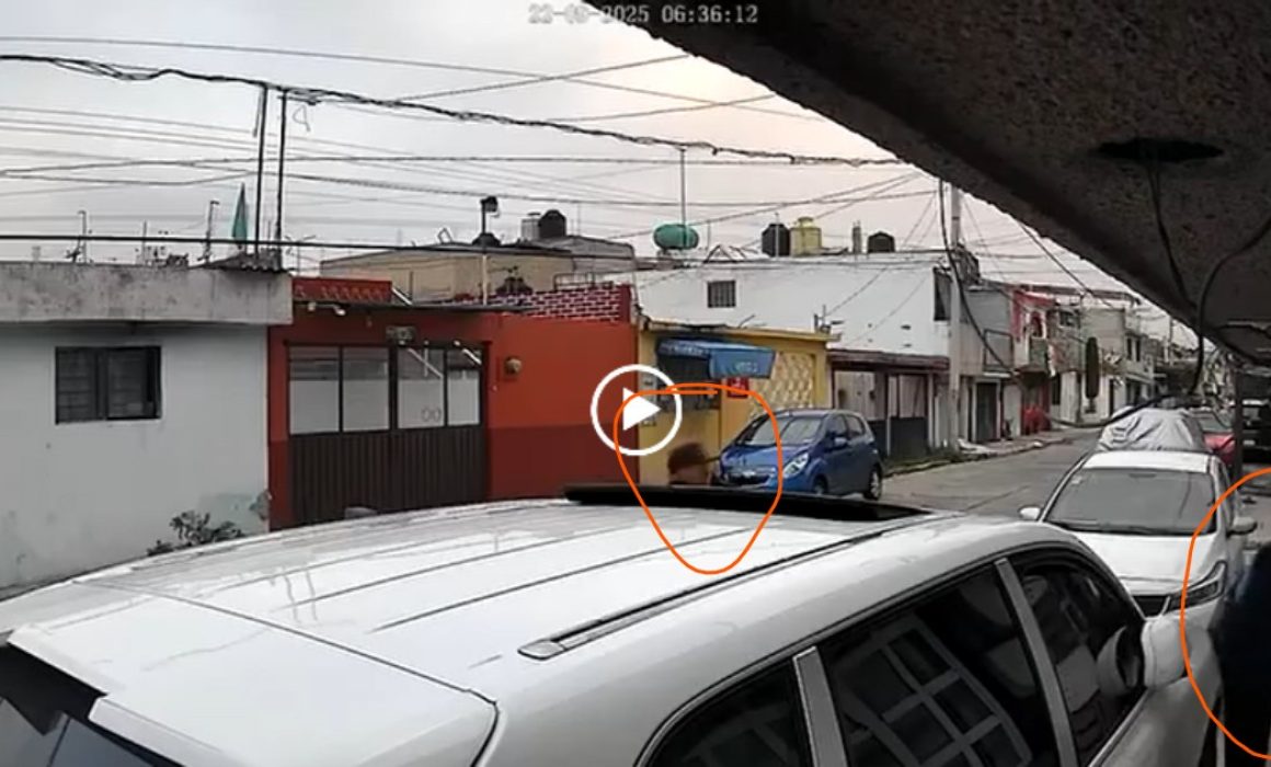 Adulto mayor enfrenta intento de asalto en Ecatepec; vecinos piden mayor seguridad