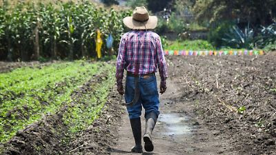 Agricultores del Estado de México exigen precios justos para el maíz y reconocimiento a las comaleras