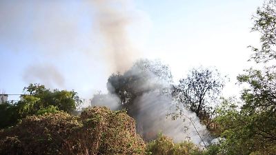 Aguascalientes entre los 10 estados con incidencia media en incendios forestales en 2025: Van 83 siniestros