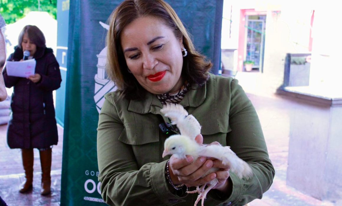 Alcaldesa de Ocoyoacac entrega beneficios selectivos y genera inconformidad entre habitantes