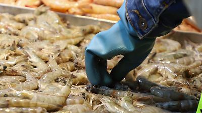 Alerta en EU por aumento de muertes por bacteria come carne: síntomas y riesgos