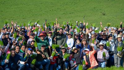 Almoloya de Juárez logra reforestar con 20 mil árboles el Cerro del Molcajete y se propone plantar 300 mil durante su administración
