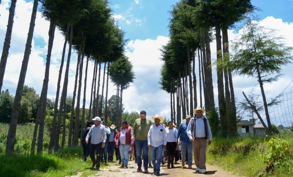 Almoloya impulsa rehabilitación de caminos rurales y apoyo social para mejorar la calidad de vida