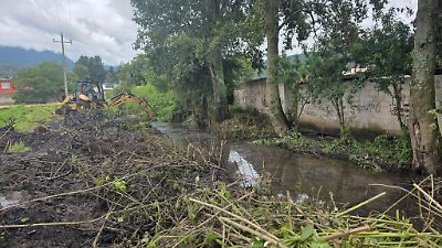 Amanalco enfrenta graves afectaciones por inundaciones y caída de árboles tras intensas lluvias