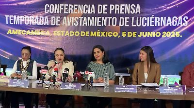Amecameca se prepara para el Festival de Luciérnagas 2025 y dinamiza su turismo