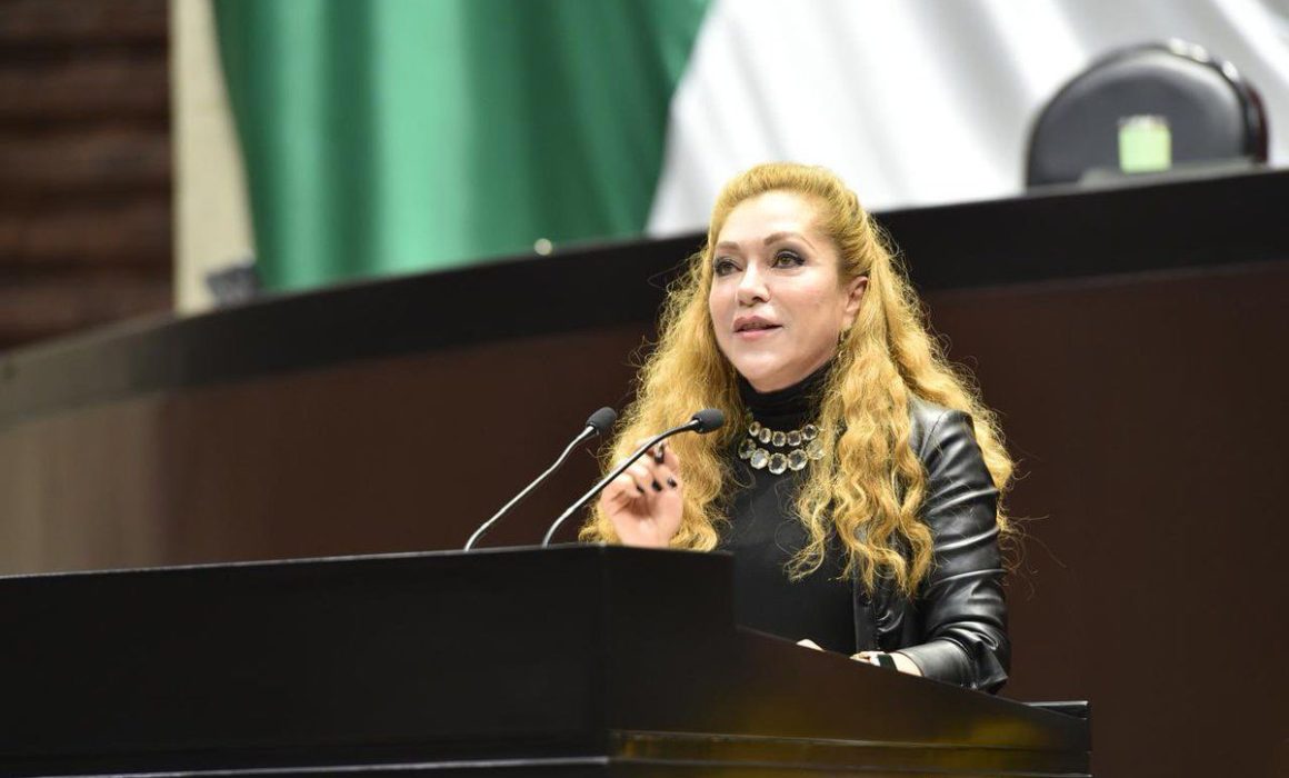 Ana Balderas: Más que leyes, acciones que benefician a su comunidad