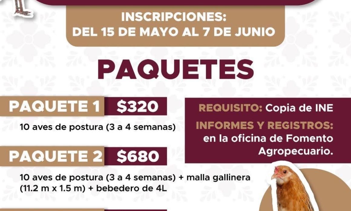 Aprovecha descuentos en aves de postura y comienza tu granja
