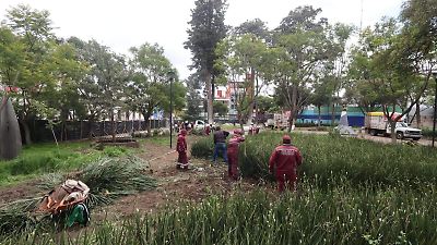 Arrancan medidas para controlar plaga de ratas en el Jardín Zaragoza mediante intervención ecológica y legal