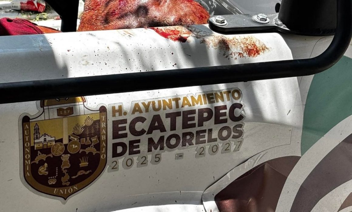 Asesinan e asaltan a pareja de abuelitos en su vivienda en Ecatepec tras suplantar funcionarios