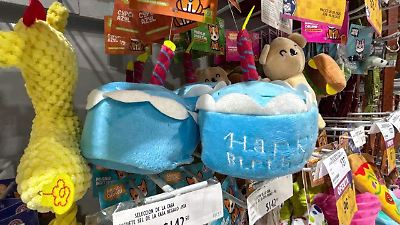 Aumentan hasta 30% los gastos en mascotas en hogares de adultos jóvenes en México