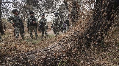 Aumento alarmante de bajas voluntarias en la Marina y Ejército mexicanos, impulsado por condiciones laborales y cambios estructurales