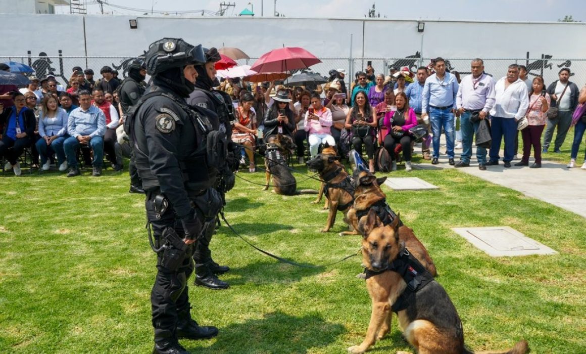 Autoridades descartan maltrato en la Unidad Canina K9 de Chimalhuacán tras inspección exhaustiva
