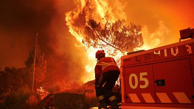 Balance mortal y críticas por la gestión en los incendios que azotan Portugal y España