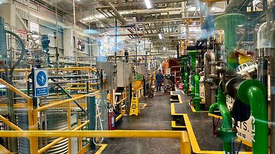 Biofungicidas de México revolucionan la protección agrícola y favorecen el medio ambiente, según la FAO