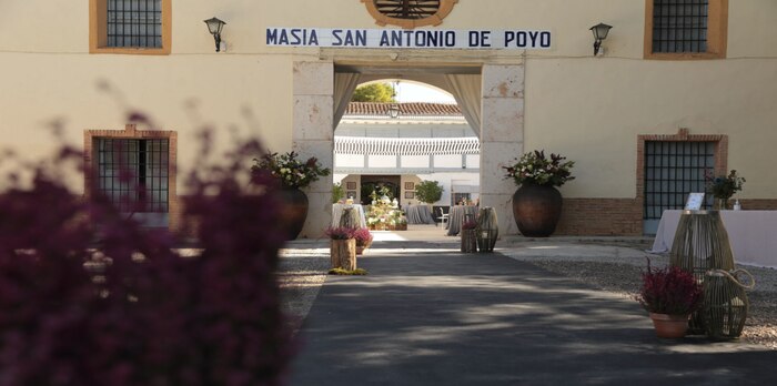 Boda aplazada por una catástrofe natural, pero convertida en acto de solidaridad y esperanza