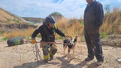 Bomberos de Texcoco rescatan a un perrito atrapado en acantilado de minas