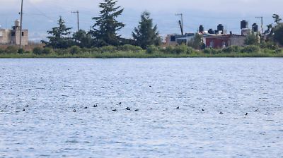Bordo de San Jerónimo mejora su limpieza gracias a la labor vecinal y comunitaria