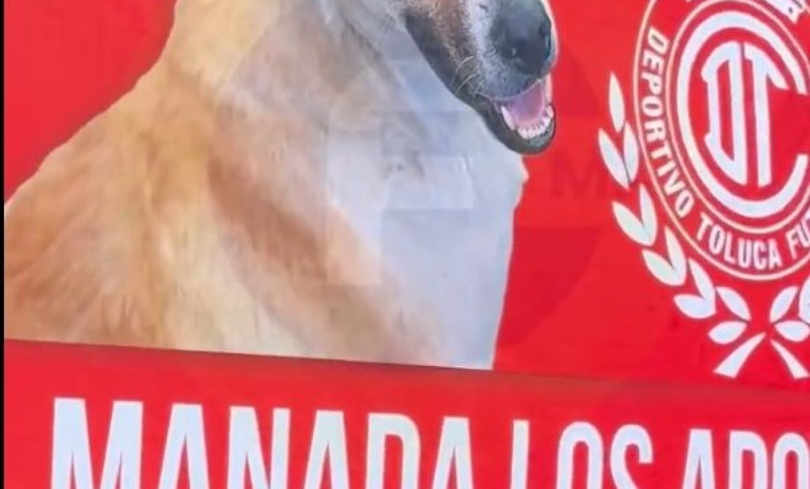 ¿Cómo el Gobierno del Edomex se une al fervor del Toluca FC y ayuda a los lomitos? Descúbrelo aquí