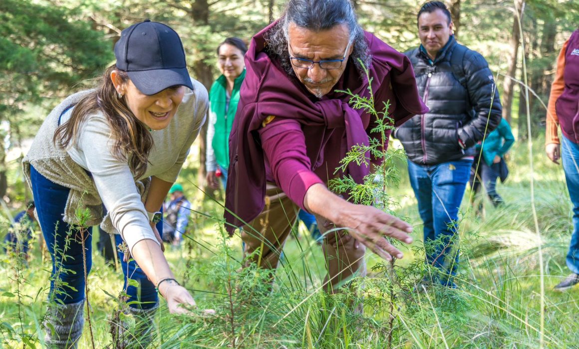 ¿Cómo está protegendo Tianguistenco sus bosques y agua? La sorprendente estrategia de Erika Olea