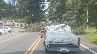 Caída de árbol bloquea la carretera México-Cuautla en Amecameca