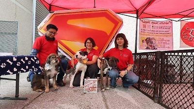 Campaña de adopción de perros en Tolzú fomenta conciencia y solidaridad