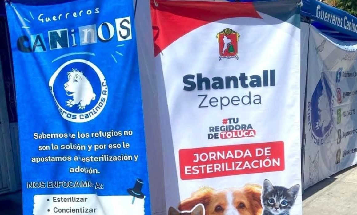 Campaña en Toluca ofrece servicios veterinarios económicos para mascotas