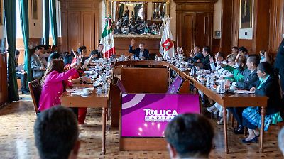 Capacitarán a servidores públicos de Toluca para evitar podas excesivas de árboles