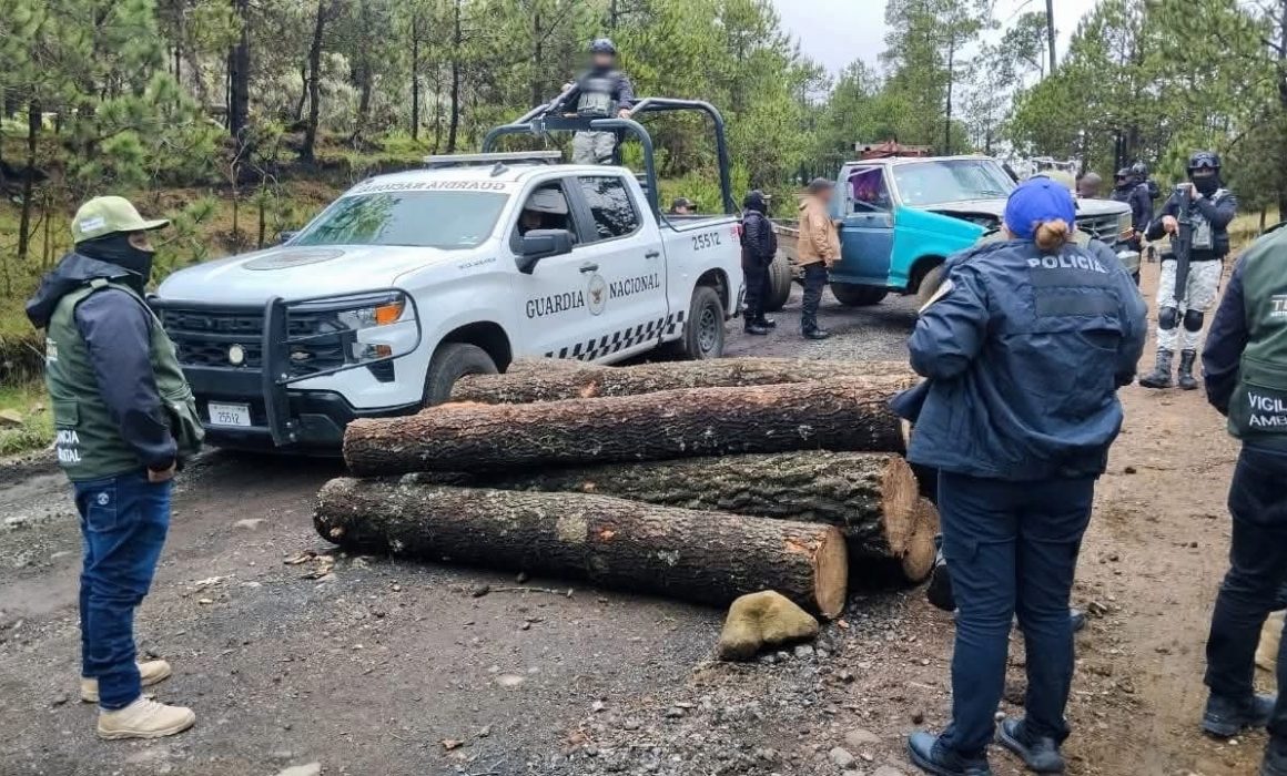 Capturan en Xalatlaco a presuntos talamontes con carga ilegal de madera de pino