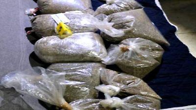 Capturan y vinculan a proceso a presunto narcotraficante en zona controlada por el CJNG en Jalisco