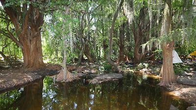 Cascadas El Fresno en Soyaniquilpan: un oasis de naturaleza, aventura y misticismo cercano a la Ciudad de México