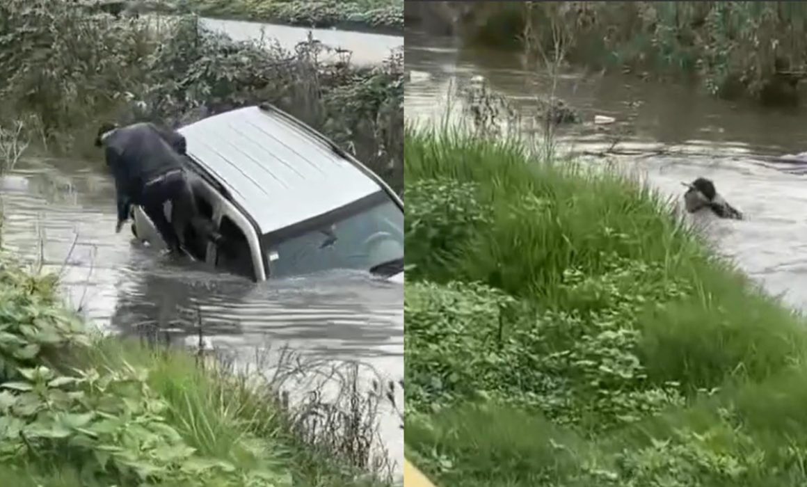 Casi tragedia en Zumpango: Vehículo arrastrado por la corriente de un arroyo durante intensas lluvias
