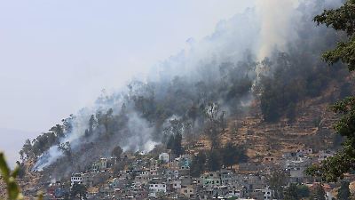 Cerro de la Teresona; en más de 20 años no ha aumentado su zona boscosa: especialista 