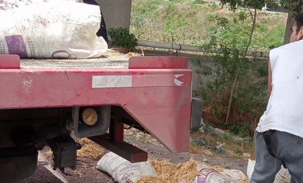 Cinco hombres detenidos en Ecatepec por arrojar basura en la vía pública