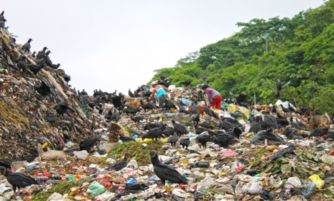 Clausuran basurero clandestino en Otumba por riesgo ambiental y de salud pública