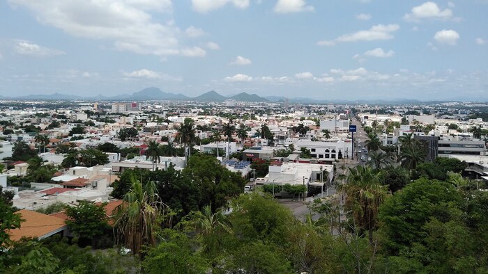 Clima en Culiacán Rosales: Temperaturas y pronóstico para 31 de enero