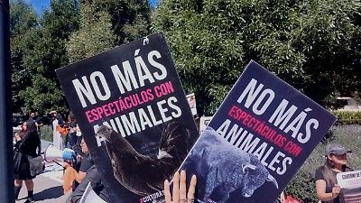Colectivos animalistas exigen al Congreso del Estado de México prohibir espectáculos con animales