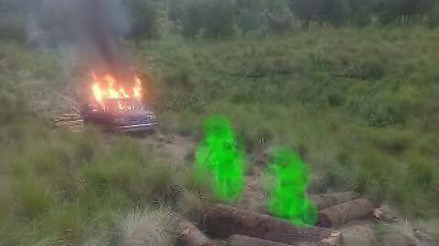 Comuneros de Ocuilan enfrentan la tala clandestina: bosques devastados y ausencia de autoridad