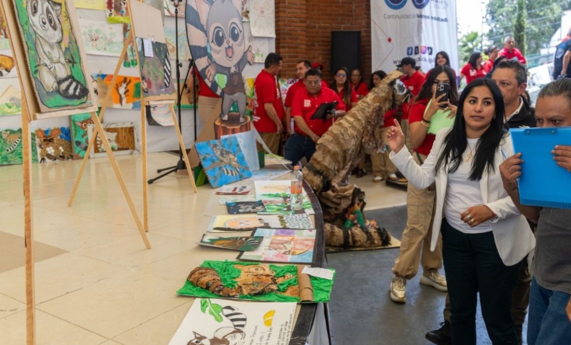 Concurso de dibujo busca proteger al cacomixtle y promover el cuidado ambiental en Coacalco