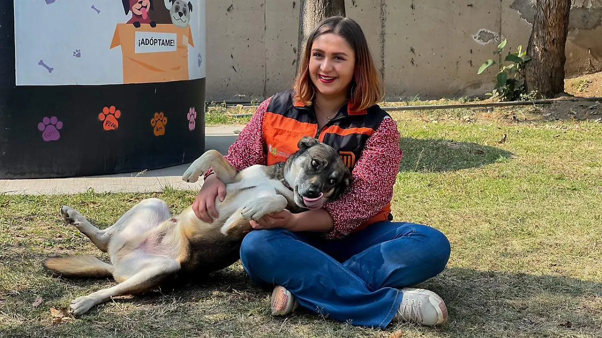Conoce a Río, Múzquiz y Talina, los perritos del Metro que llevan felicidad a los niños en Reyes y Navidad