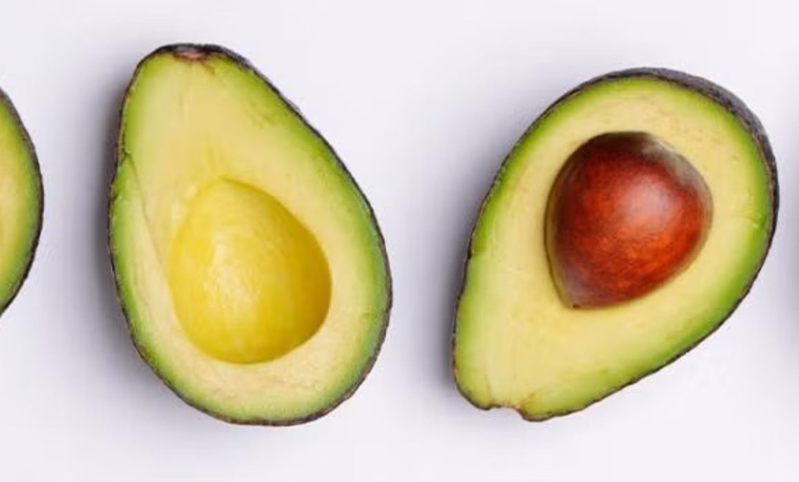 Conquista aguacate de Temascaltepec a EU y al mundo, ¿su secreto?