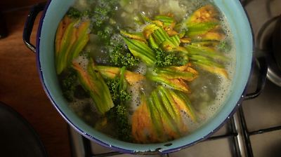 Convoca la Universidad de Chapingo a un concurso para rescatar y promover las plantas nativas mexicanas en la gastronomía