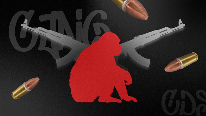 Crimen organizado en México vincula el tráfico de monos exóticos con actividades ilícitas y símbolos de poder