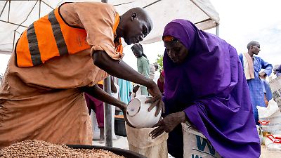 Crisis alimentaria en África y Asia Occidental: más de 300 millones en riesgo de hambre en 2024